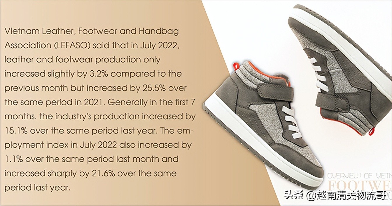 2022年越南制鞋业概述