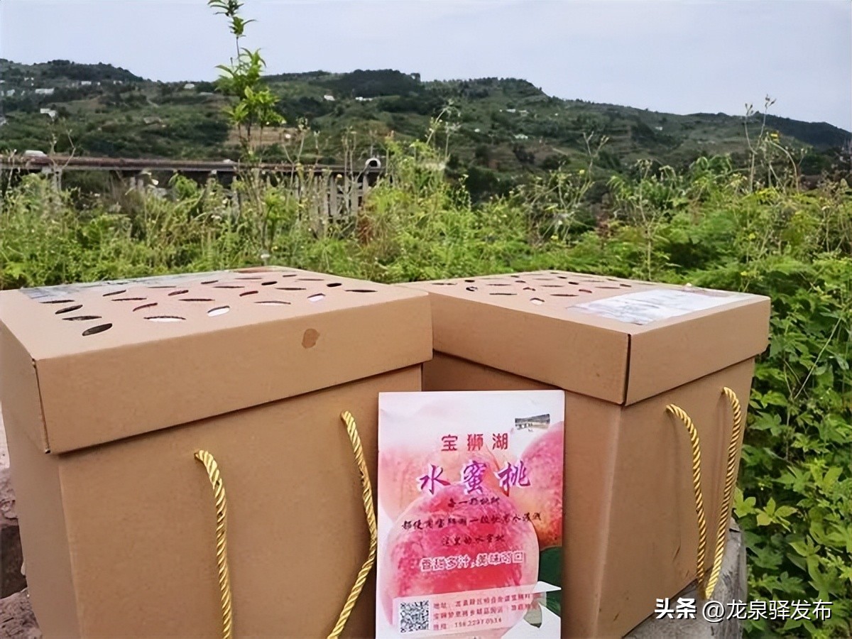 考评结果公布！龙泉驿区这些村镇和园区获殊荣