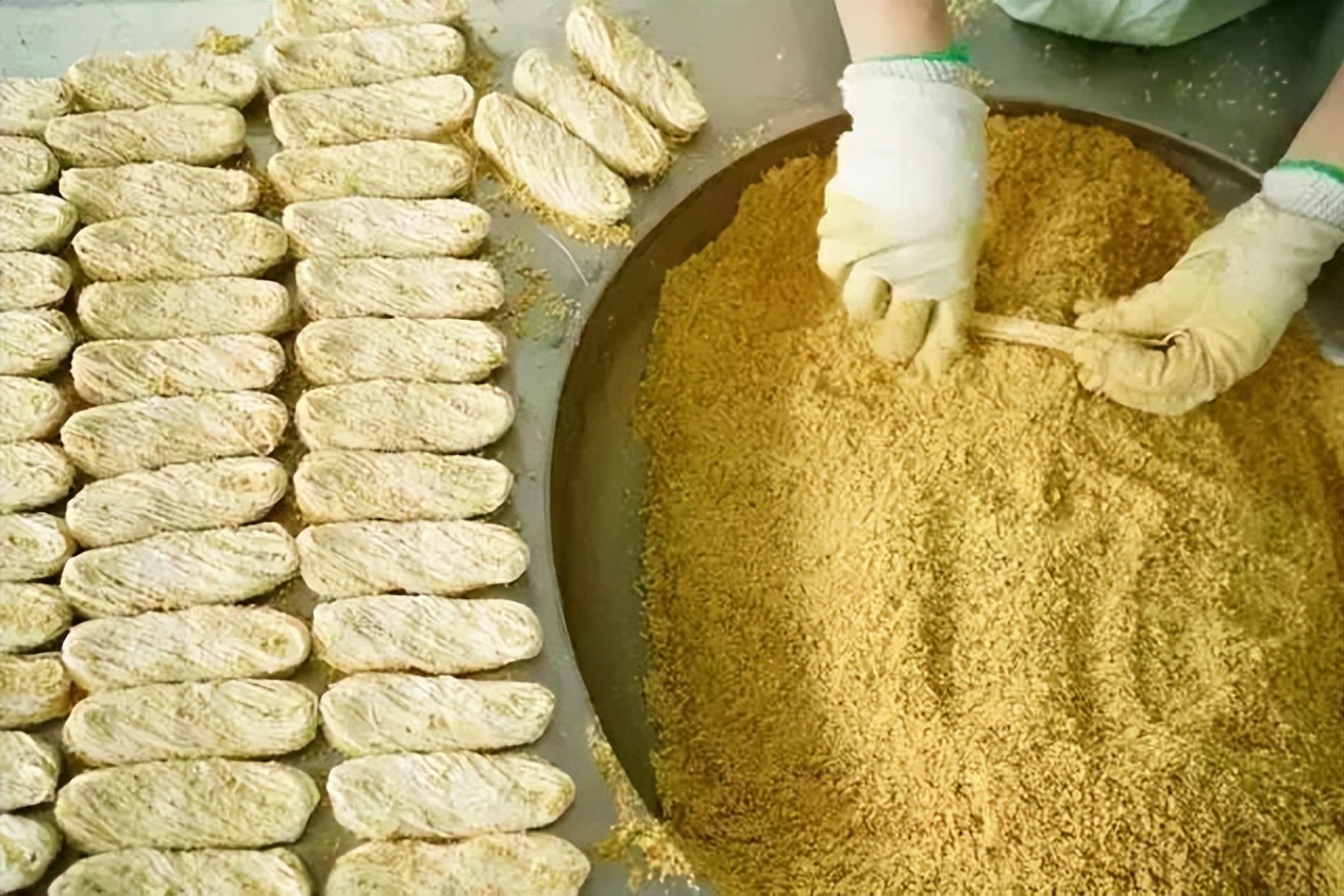 上海郊游一览表,上海郊游