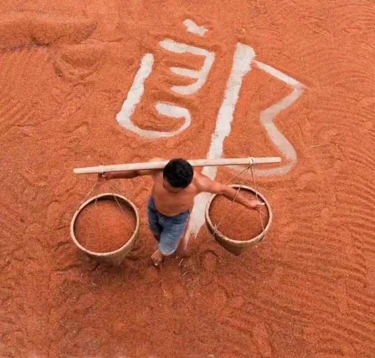 庆丰收迎盛会，首届古蔺高粱丰登节将于8月20日上午8点开幕