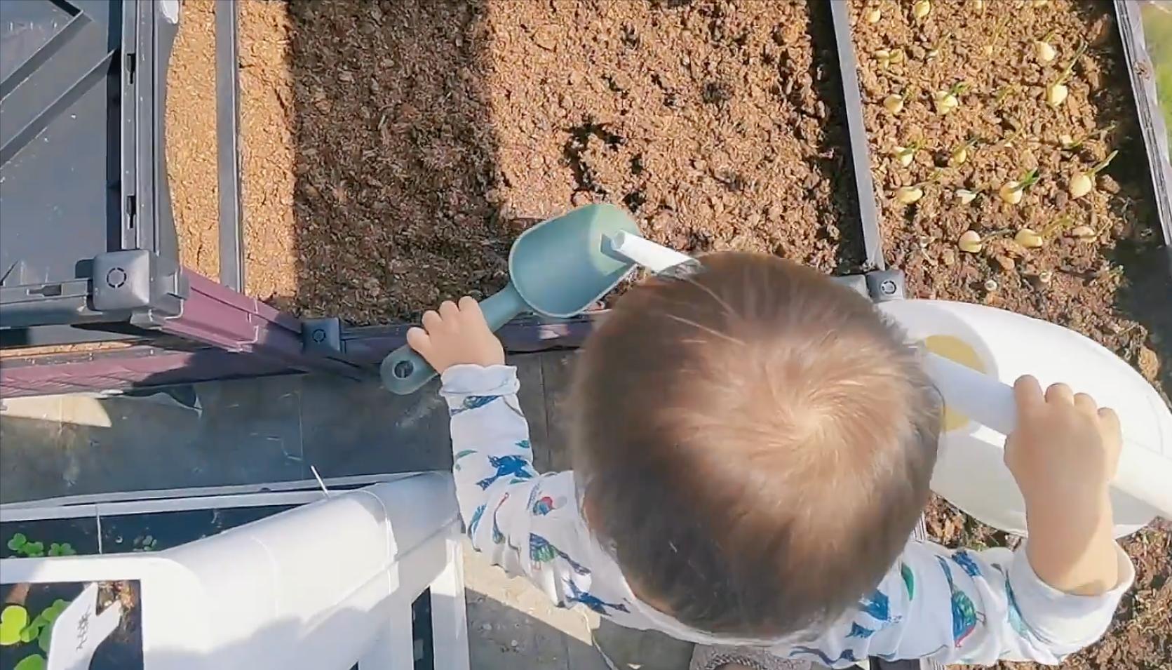 郑恺和妻子最新消息,郑恺老婆和他在一起多久了