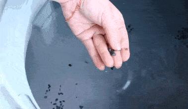 被埋没在超市的4种“良心国货”，便宜又好用，碰到了可别错过