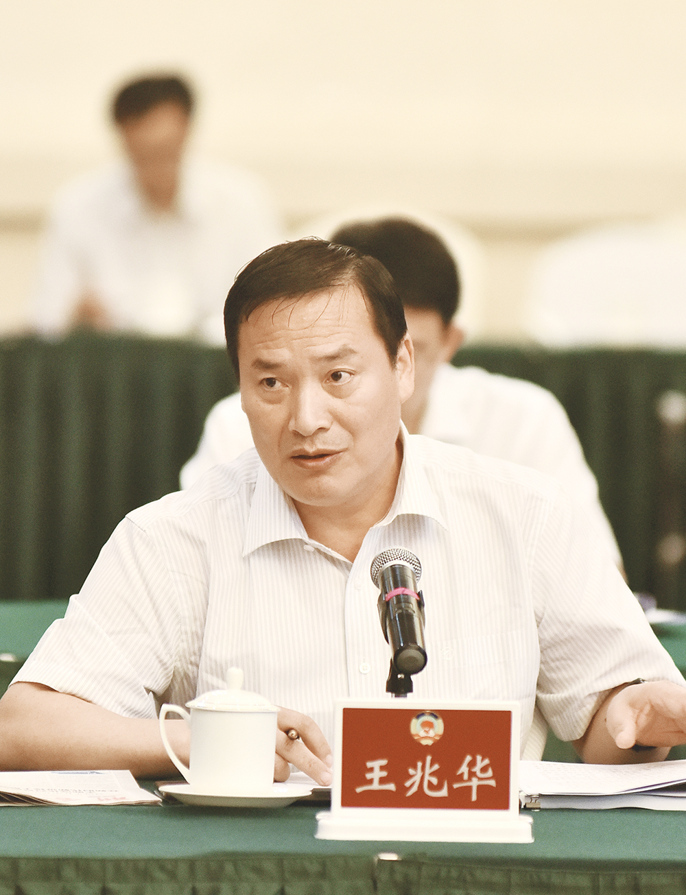 农墨重彩绘新景,农墨重彩绘丰景