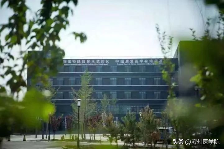 滨州医学院2023年本科招生计划,2020年滨州医学院招生计划一览表