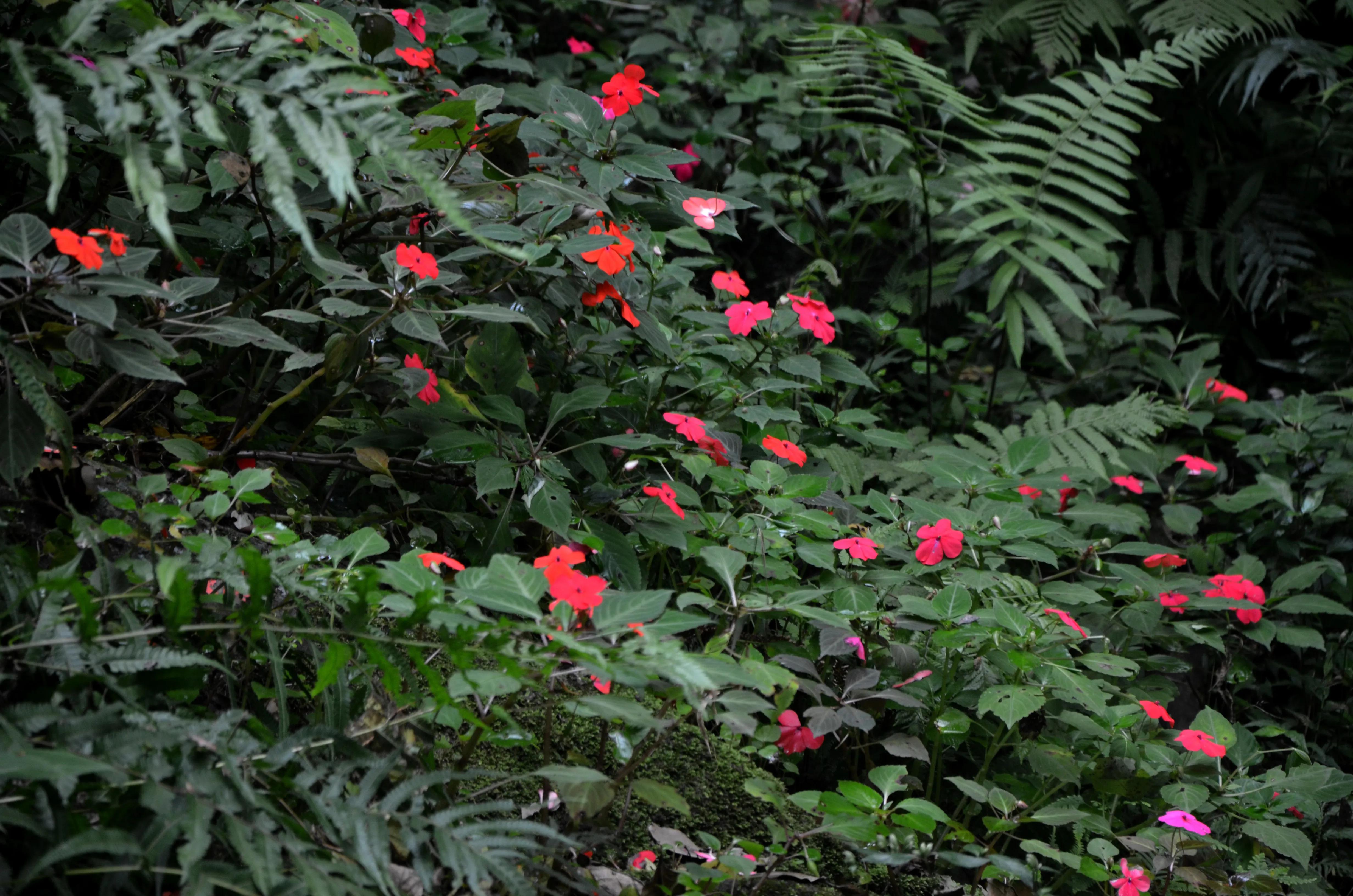 台湾太鲁阁大峡谷绝美风景,台湾太鲁阁大峡谷