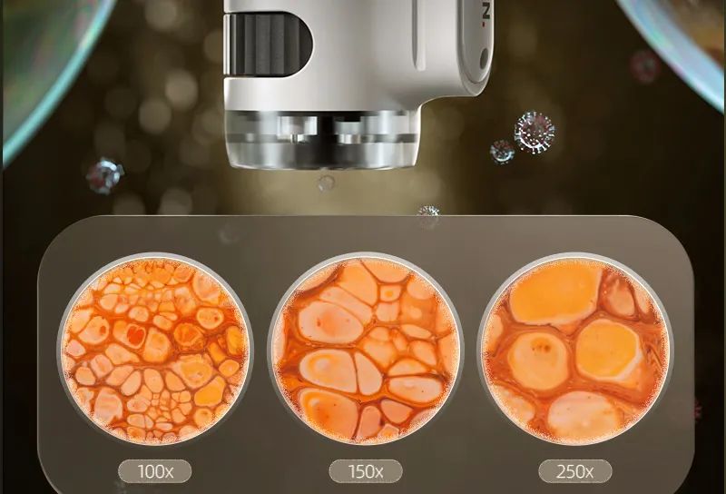 儿童探索放大镜多少倍合适,家长应不应该给孩子买显微镜