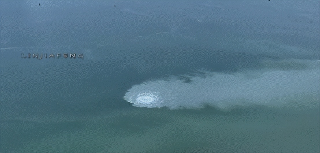 湛江海域蓝眼泪奇观,湛江海水漂着的是什么