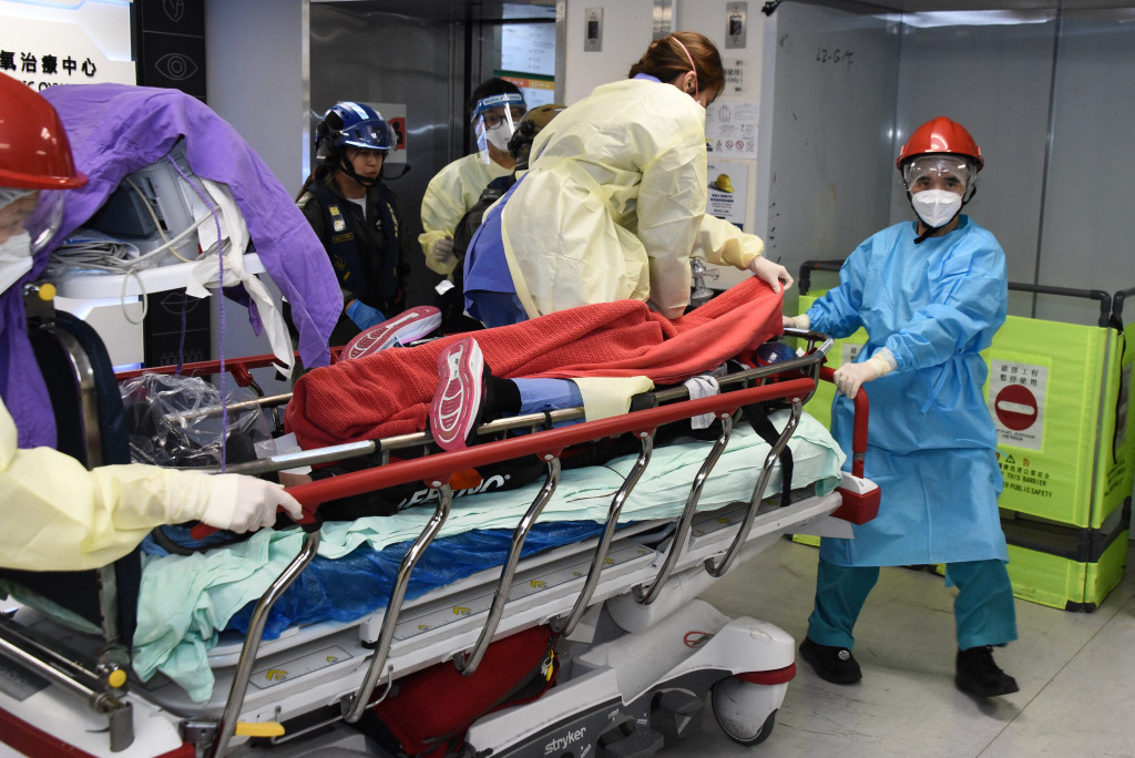 野蜂蜇人谁承担责任,野蜂蜇人的新闻