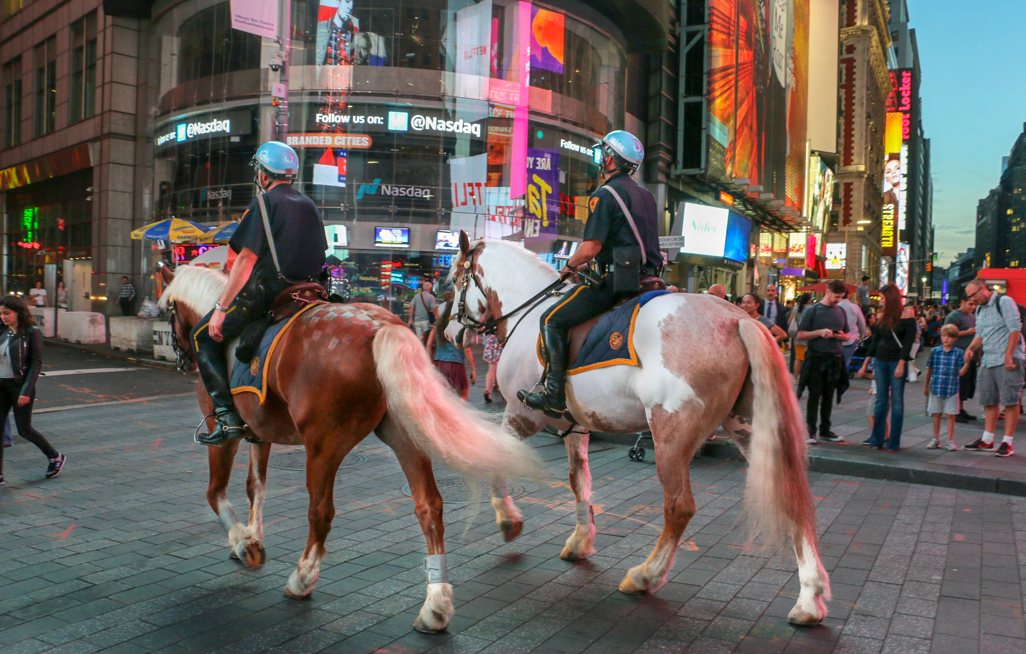 美东加东行（一）——纽约