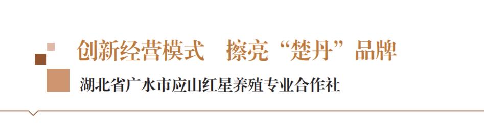 创新经营模式擦亮“楚丹”品牌——湖北省广水市应山红星养殖专业合作社
