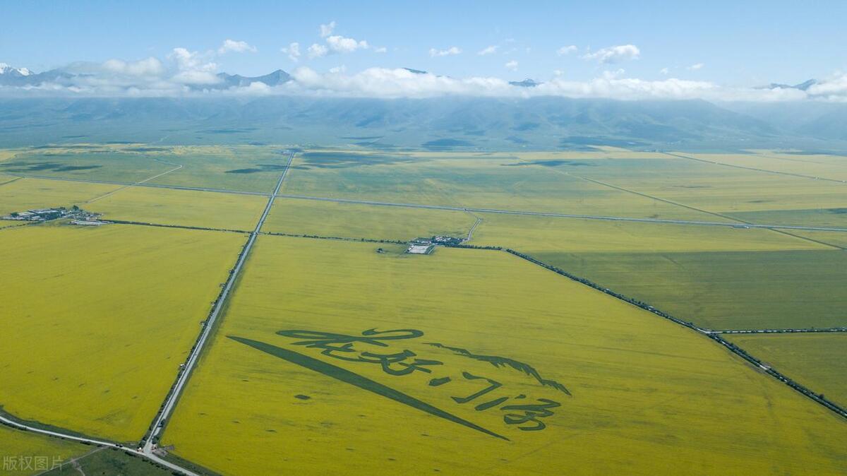 青海湖旅游攻略8月份茶卡盐湖,青海湖茶卡盐湖自驾游全攻略