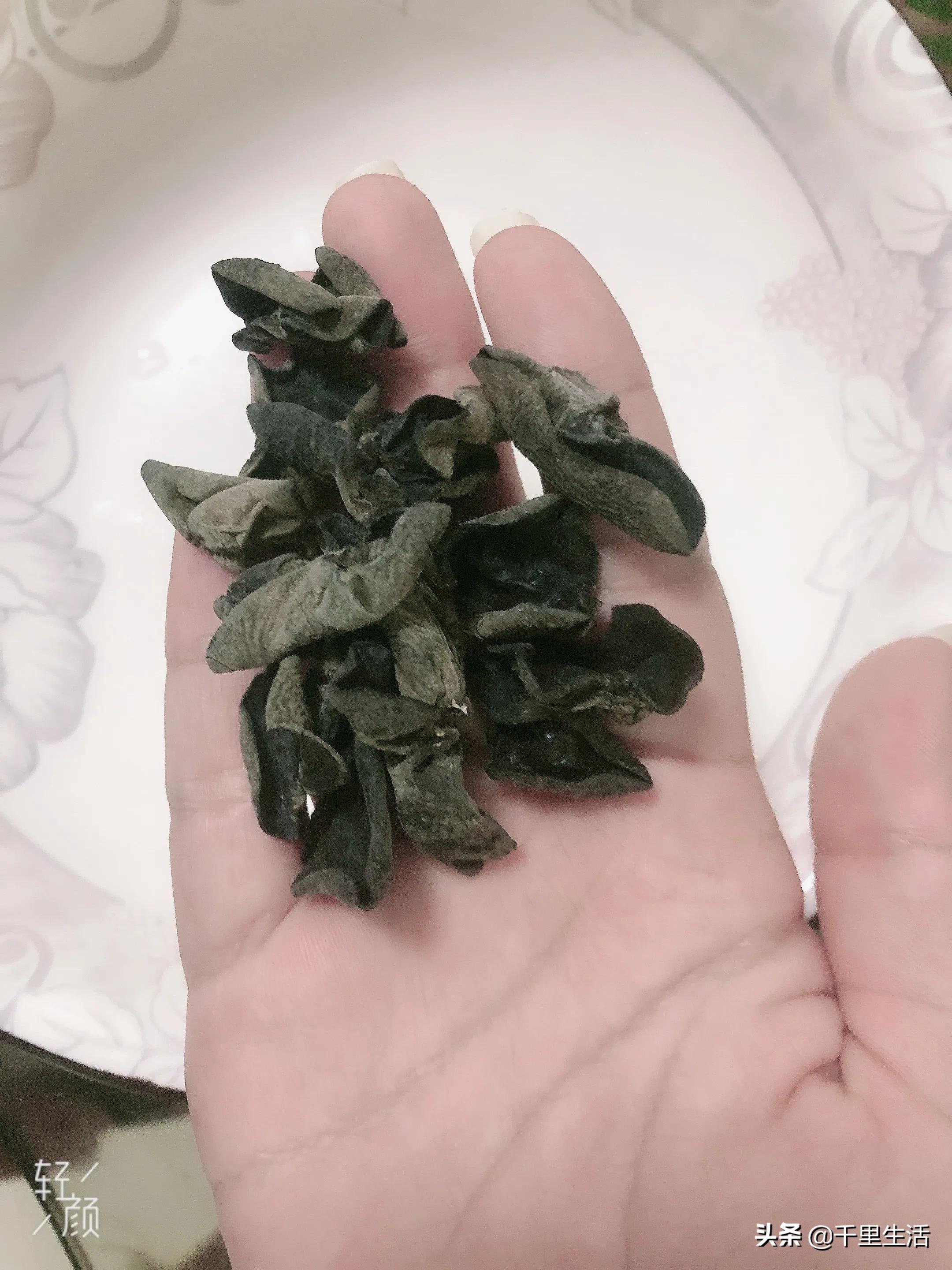 “素中之荤、素珍之王”，东北黑木耳，隔三差五吃一顿，脆嫩好吃