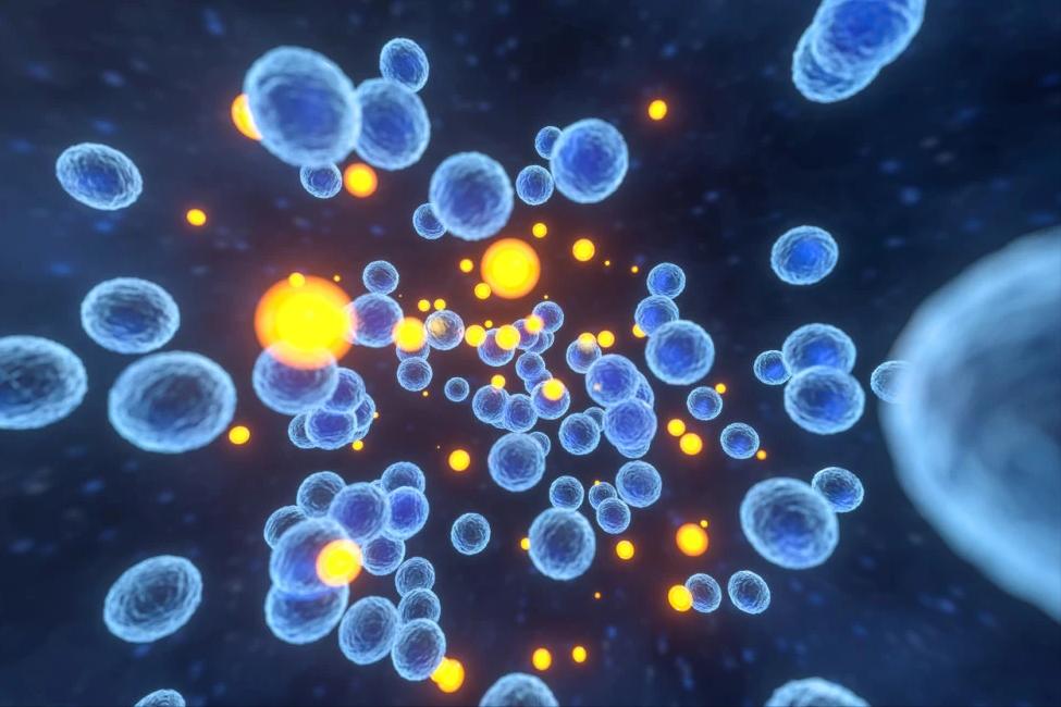 白带白细胞20-30清洁度iii,妇科白带清洁度iii度需要治疗吗