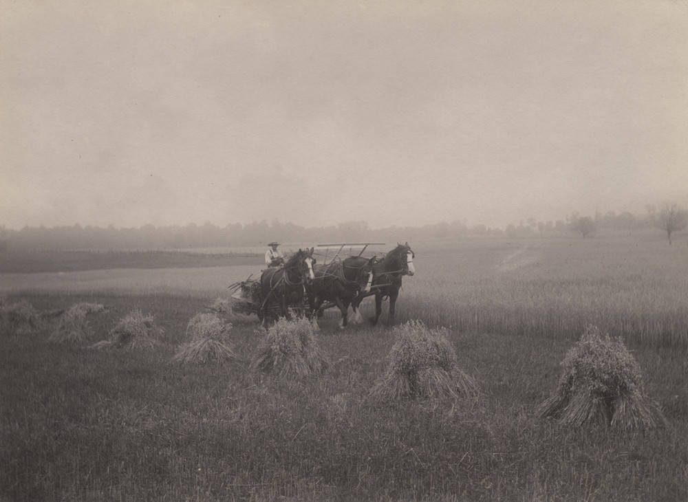 足球强国巴西足球有多强,为什么巴西是体育强国