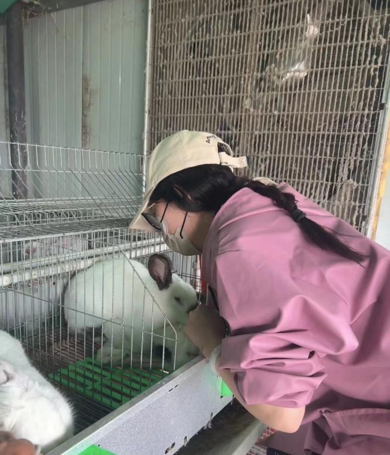 养兔子怎么干净卫生,养兔子的缺点和坏处