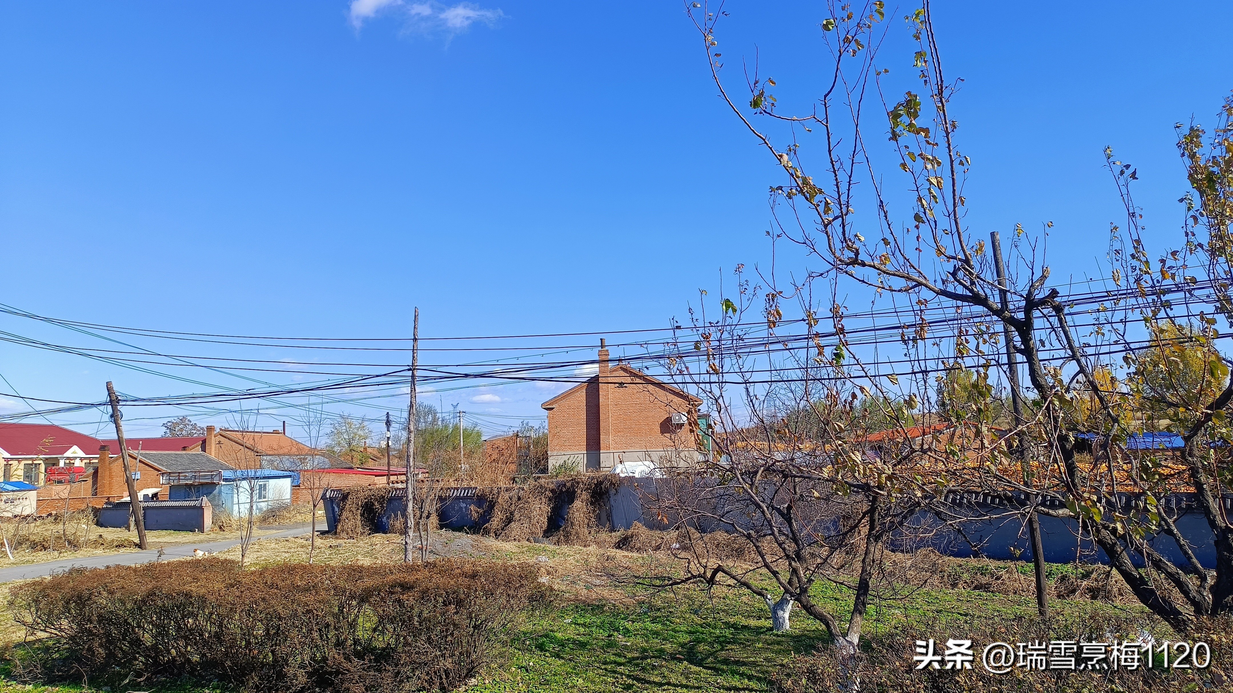 地名档案|旁新线公路沿线村庄之四：沈北新区马刚街道依路村