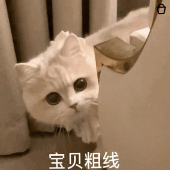 目前淘宝好评率高的店铺,2017淘宝最经典的差评