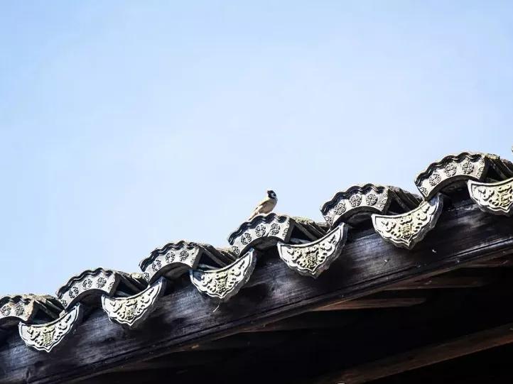 杭州西湖微信头像图片,杭州风景图片头像