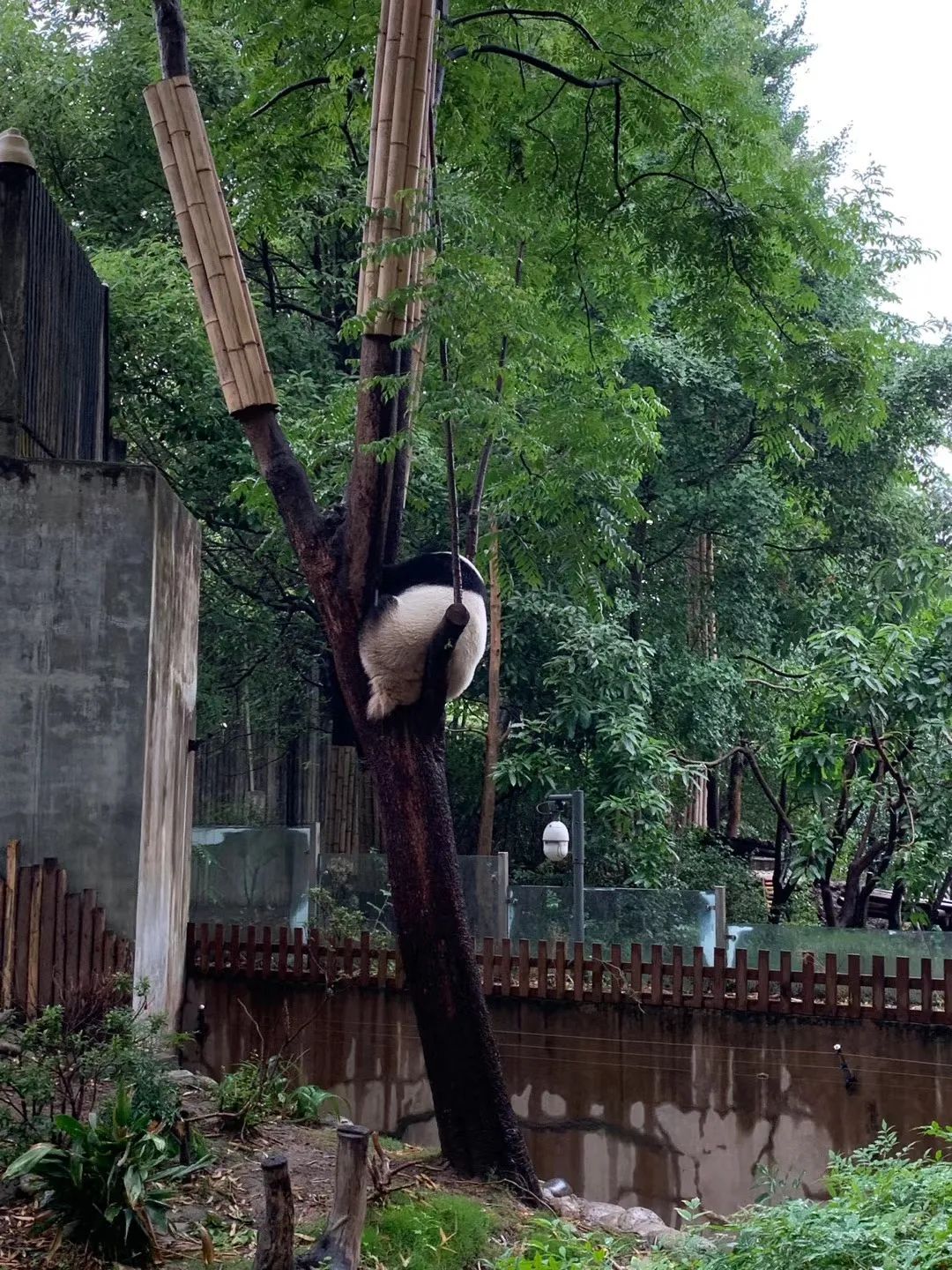 暑假带孩子怎么玩好,暑假带娃怎么玩