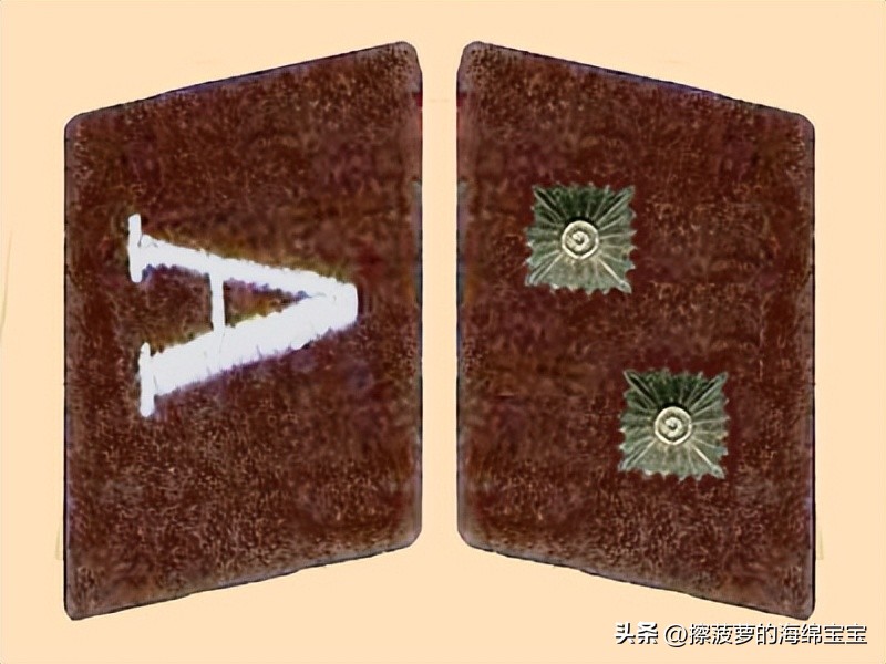 纳粹冲锋队用的什么枪,纳粹德军军衔图解