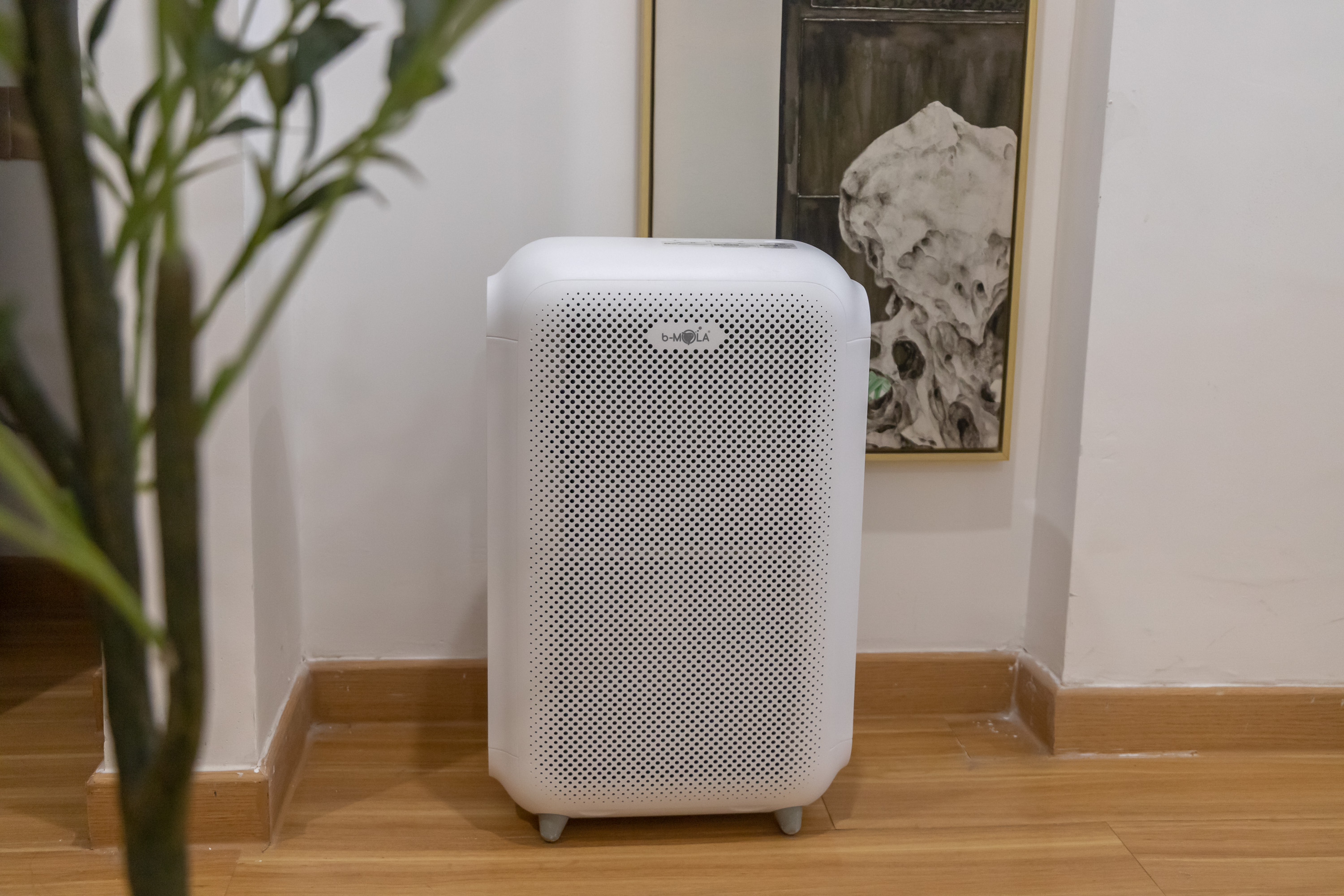 养猫家庭怎么选择空气净化器,养猫空气净化器好还是加湿器好