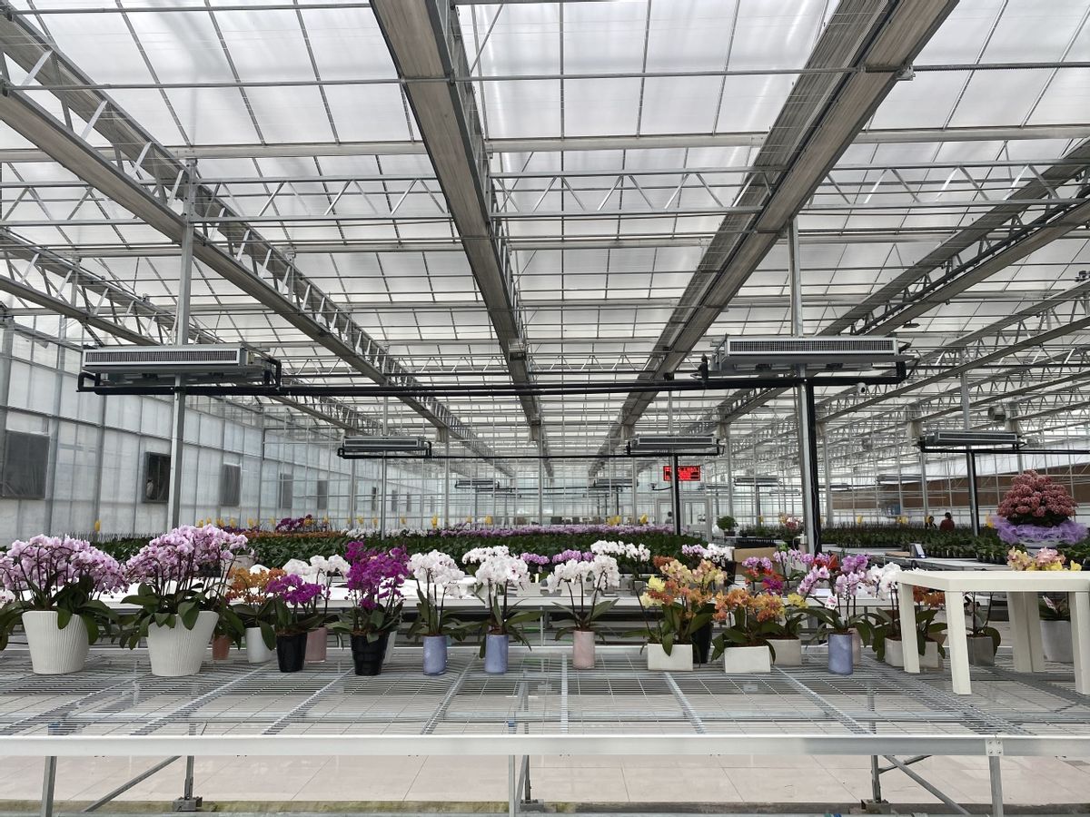 太原关于温室大棚整改,温室大棚房整治