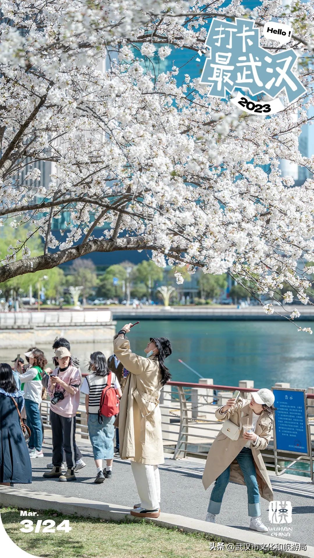 武汉不花钱看樱花地点,来武汉一定要看两坝一峡登黄鹤楼