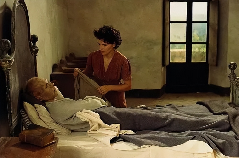 英国病人异地恋,英国病人隐喻