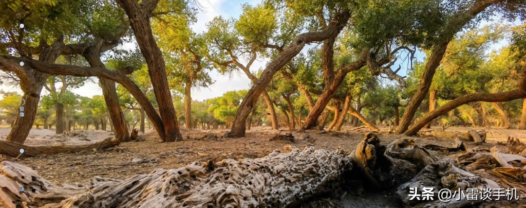 手机后置摄像头三个都什么作用,手机后置四个摄像头什么作用