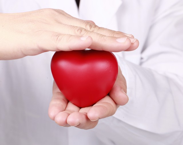 河南夏邑冷棺,夏邑冷棺封门