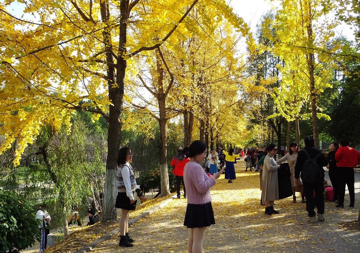 最受欢迎金饭碗排名,想进国家电网选什么大学最超值