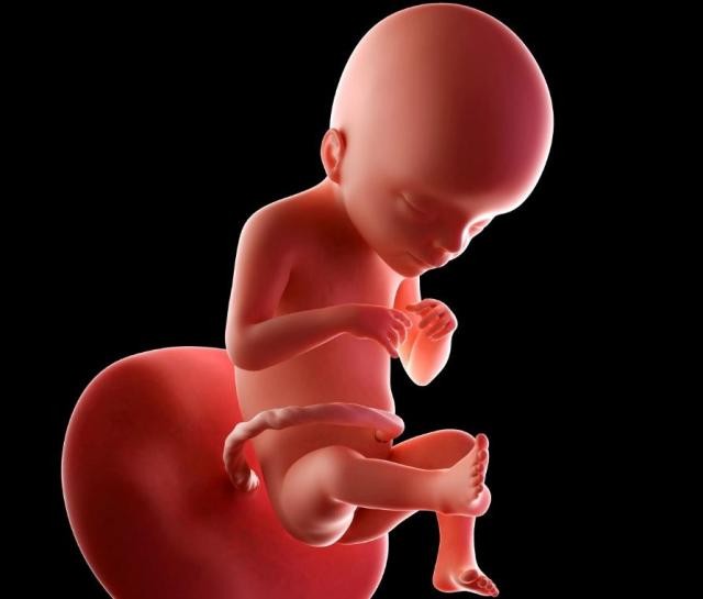 孕期1-10个月注意事项,孕期准备宝宝用品清单