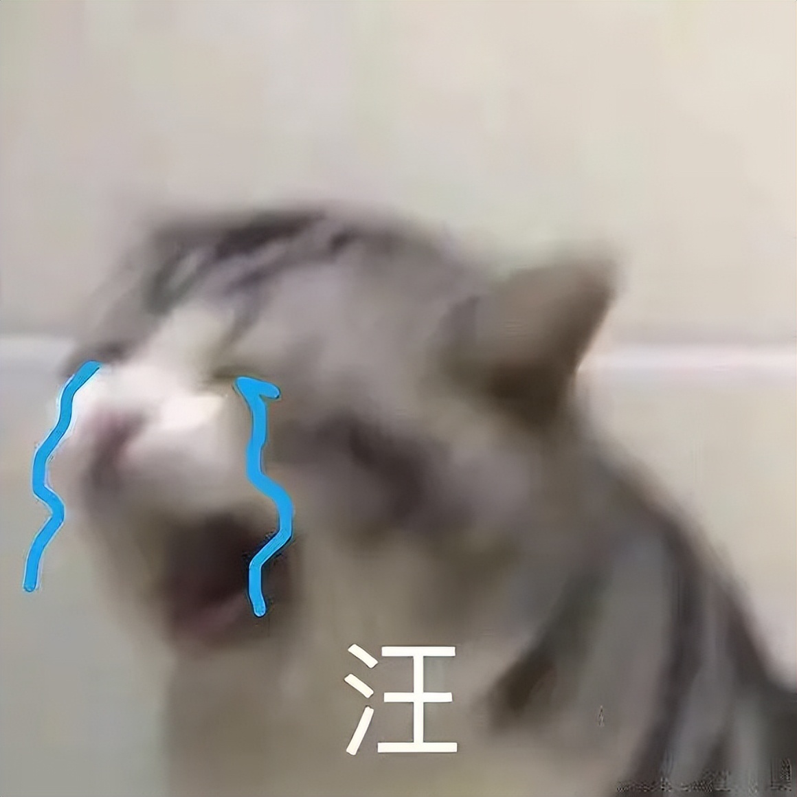 涓婂濂崇敓鎶曟瘨浜嬩欢鍔ㄦ満,涓婂濂崇敓鎶曟瘨浜嬩欢鍚庣画