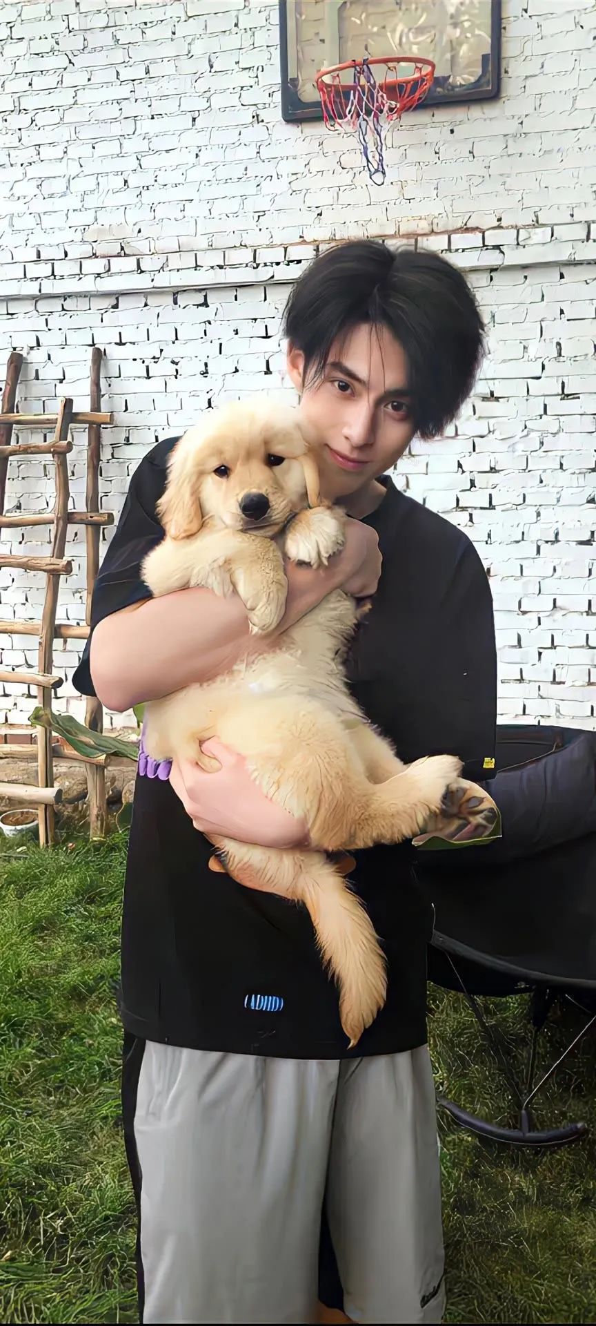 电脑壁纸高清全屏ins风无水印可爱,壁纸合集粉色系好运壁纸