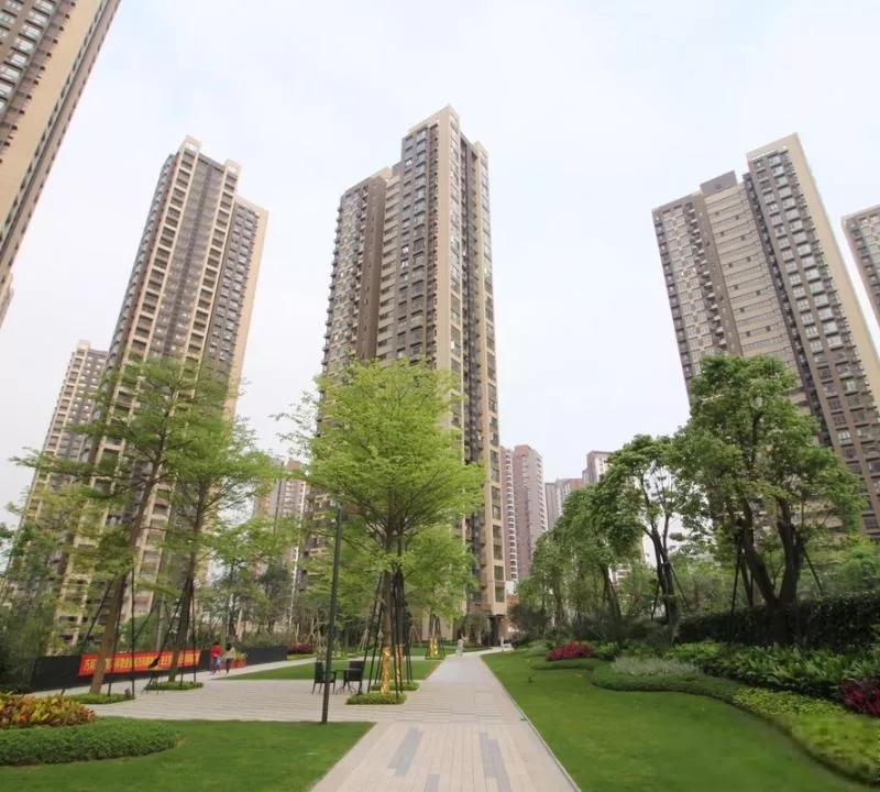 一个年轻人站票到深圳，再到深圳买房买车站住脚跟