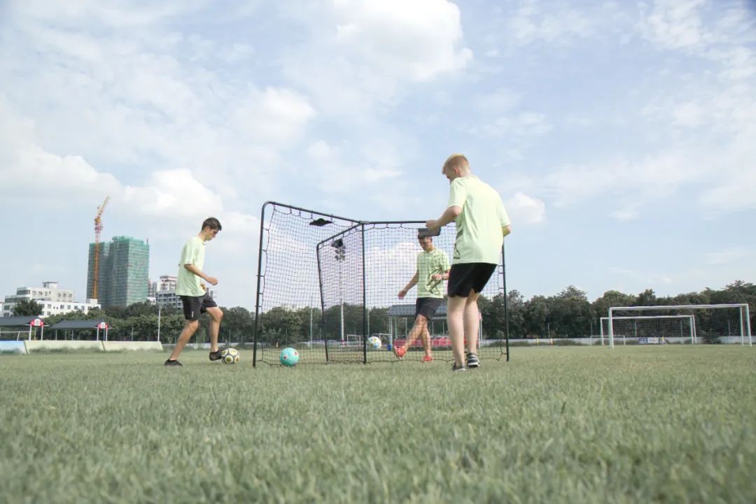 派迪茵体育博览会,派迪茵体育有限公司
