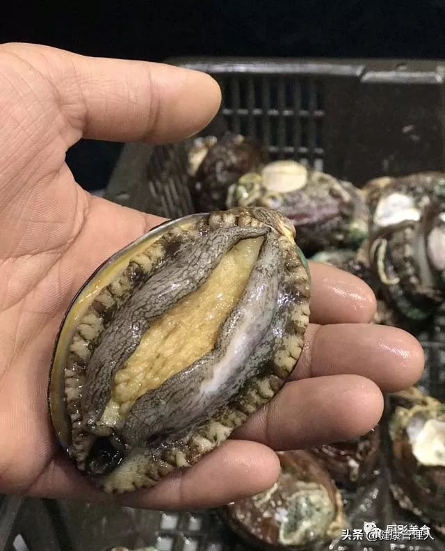 海鲜贝类品种大全及名字,22种海鲜贝类做法大全