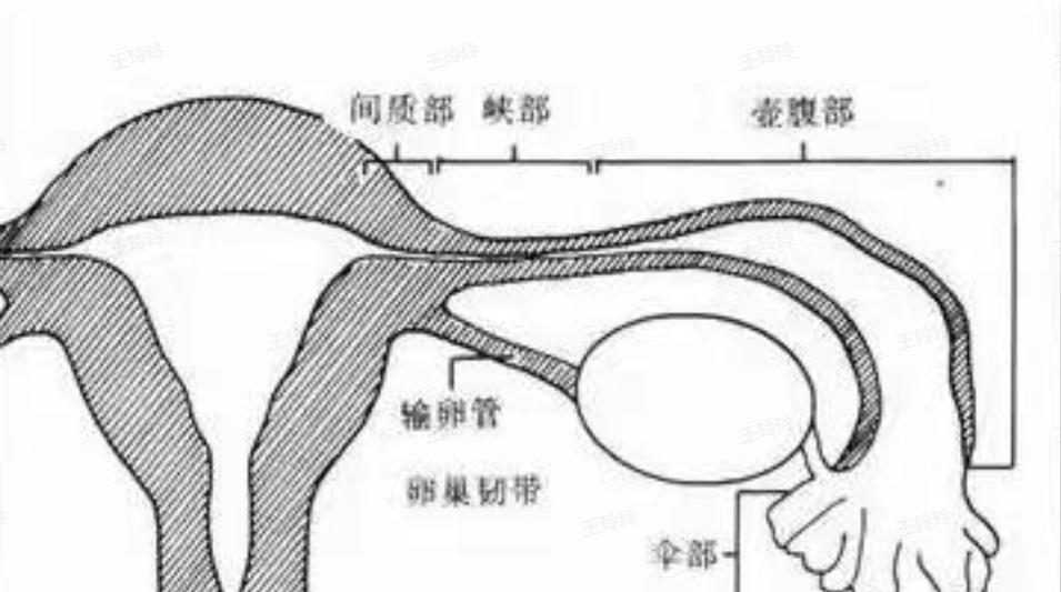 女性接触异性多会出现哪些症状,为什么有的女人一碰就会倒霉