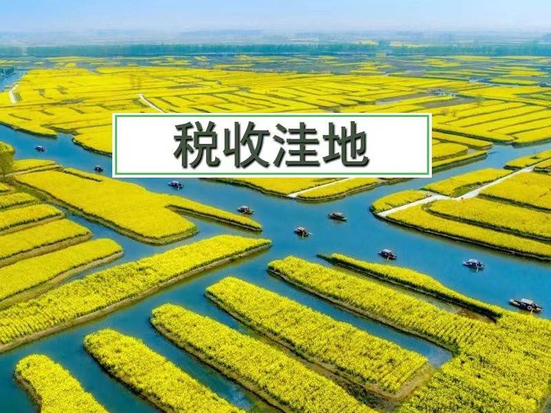 进项票丢失怎么处罚,进项票缺失怎么办