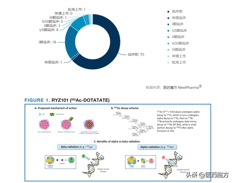 艾博兹医药：硬“核”创新，引领靶向治疗新篇章