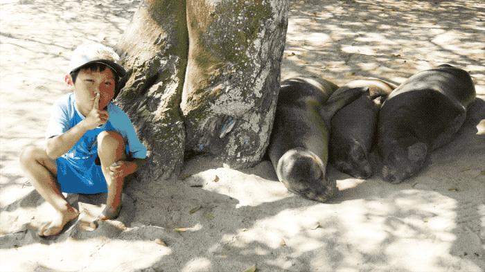 夫妻带5岁儿子环游世界,小夫妻带5岁孩子旅游边走边看