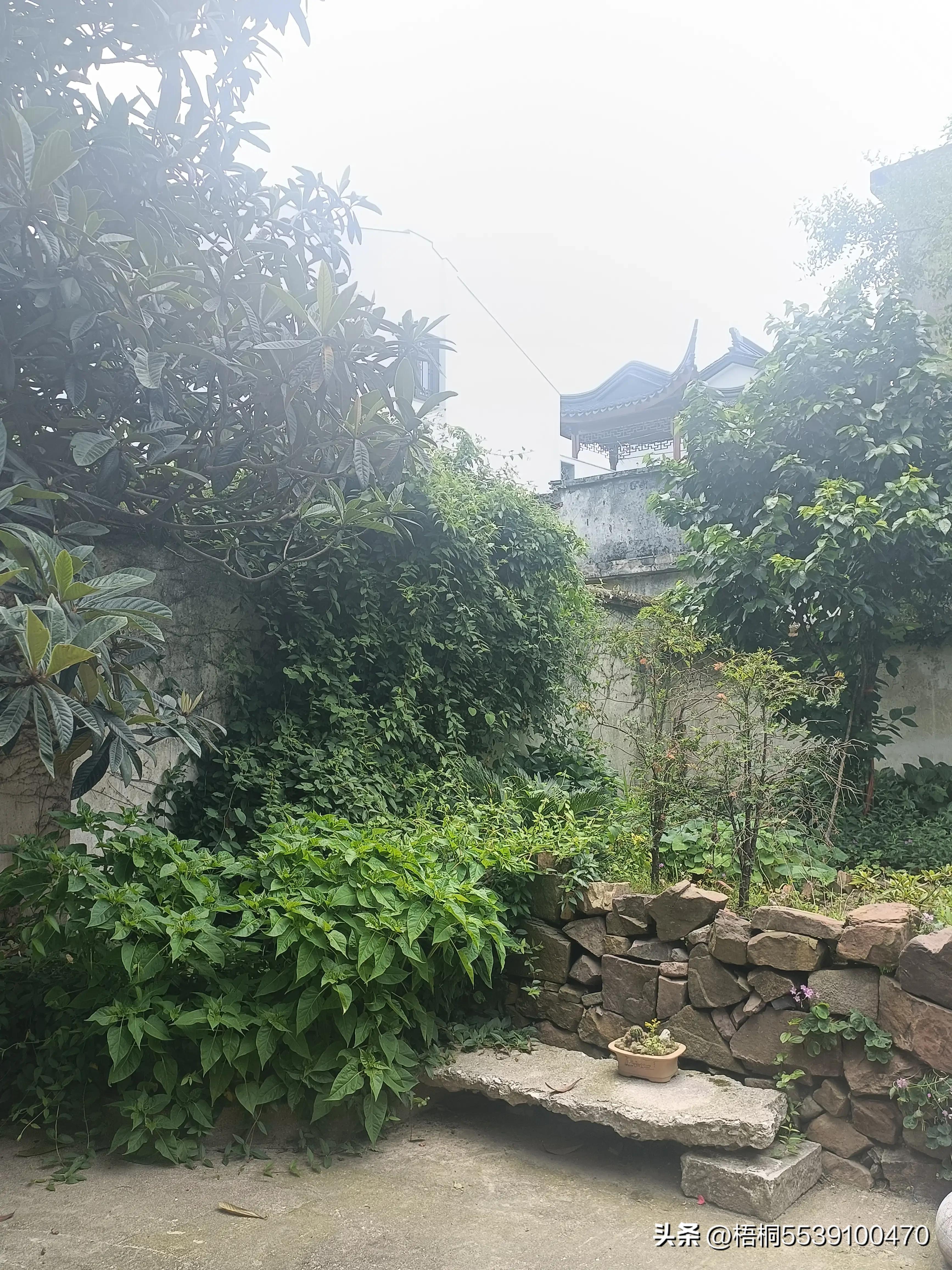 苏州洞庭西山有什么好玩的,苏州太湖东山还是西山好玩