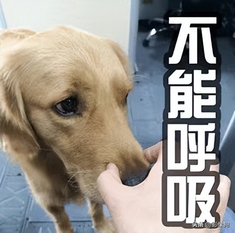 适马14-24mmf2.8镜头,适马14mm对比索尼14mm