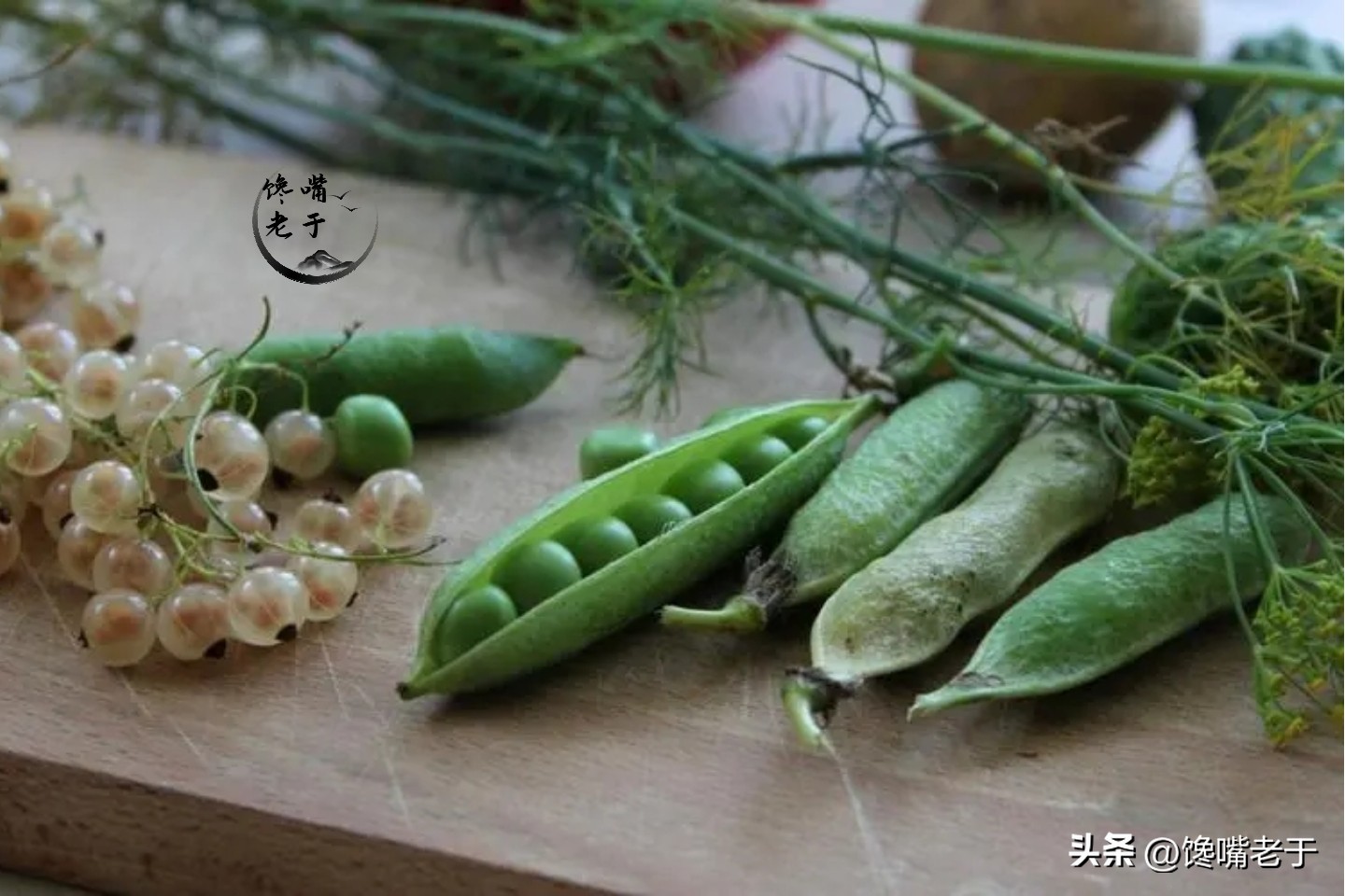 荷兰豆跟豌豆有什么区别,荷兰豆为什么叫荷兰豆呢