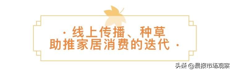 孙艺珍同款花瓣沙发,花瓣沙发明星同款孙艺珍