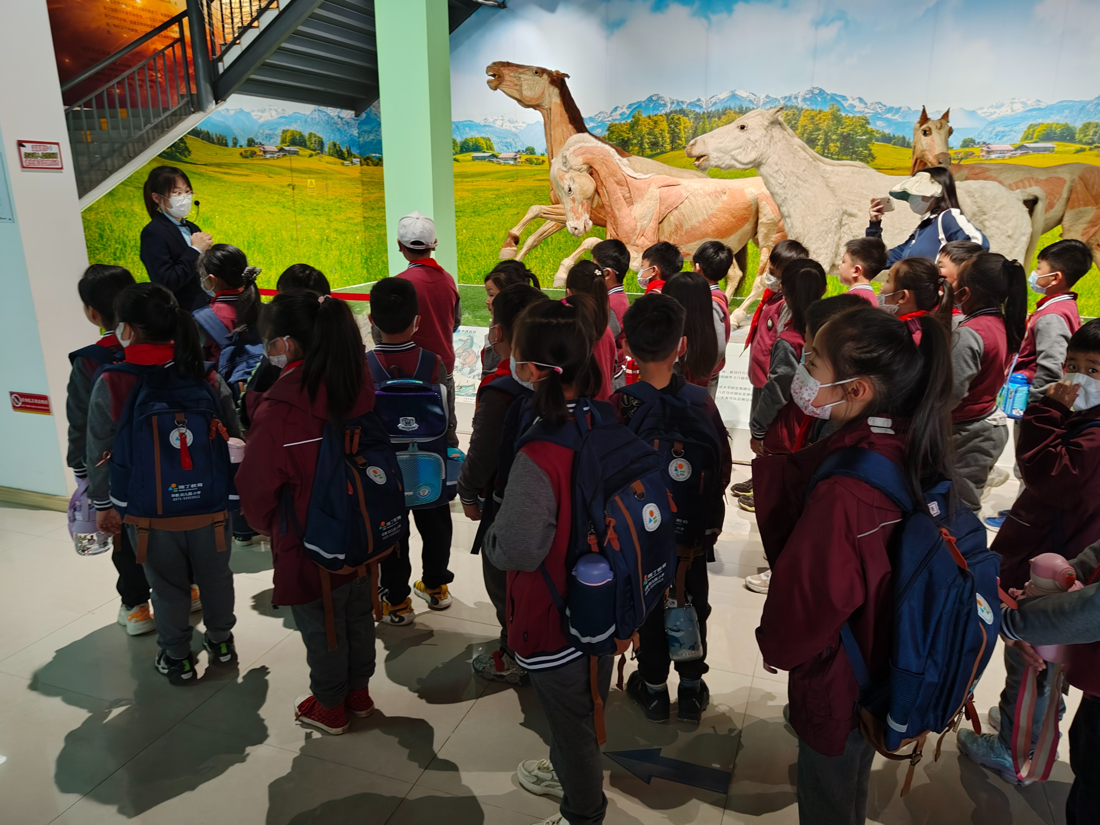 郑州旅游景区最新政策,郑州园博园买半价门票