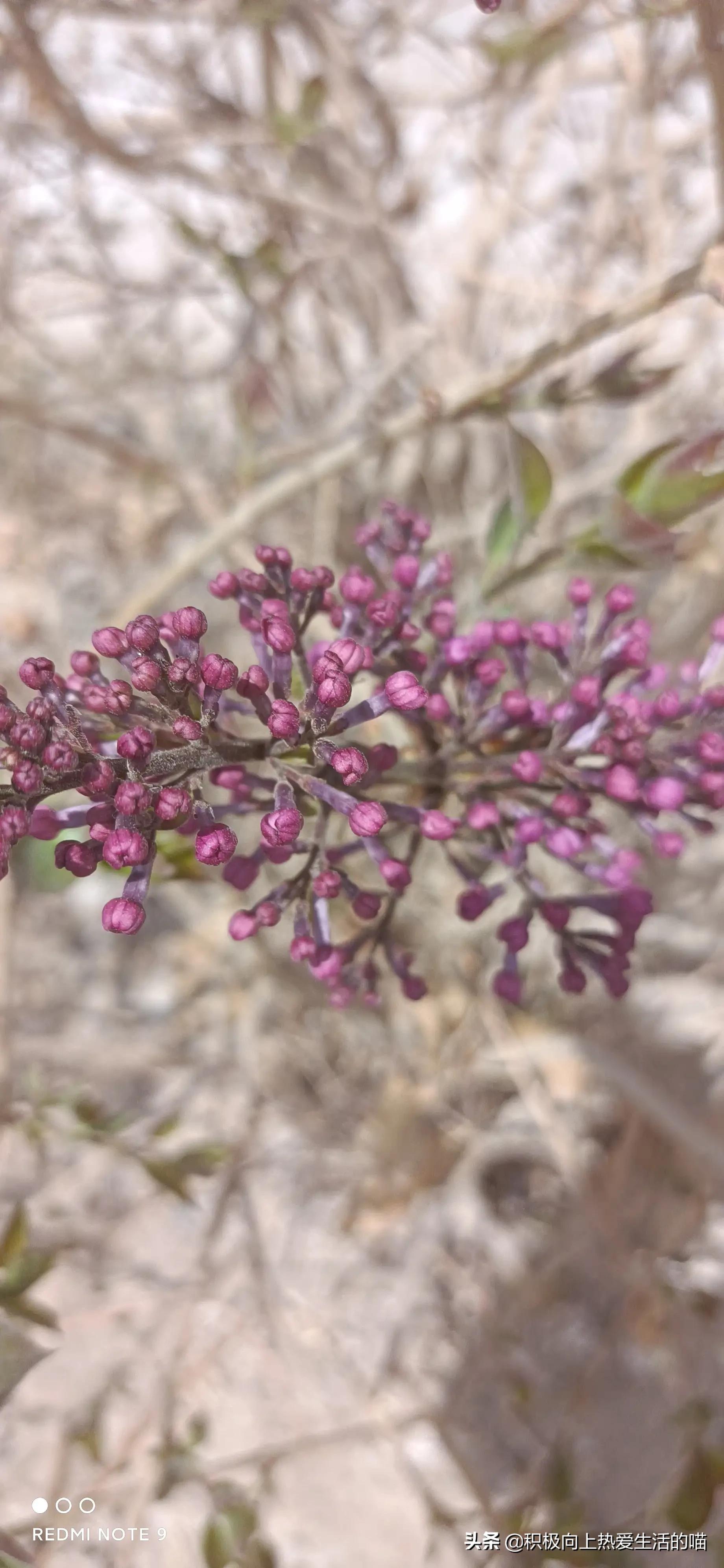 一个送货师傅的工作日常,送货司机一天累吗