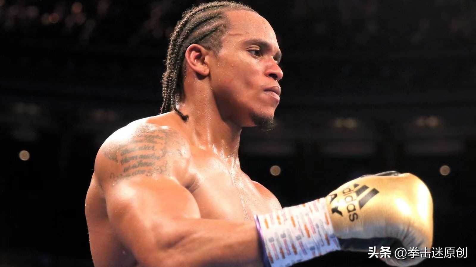 泰森三番战ko霍利菲尔德战绩,贝特比耶夫vs亚德赛后专家评论