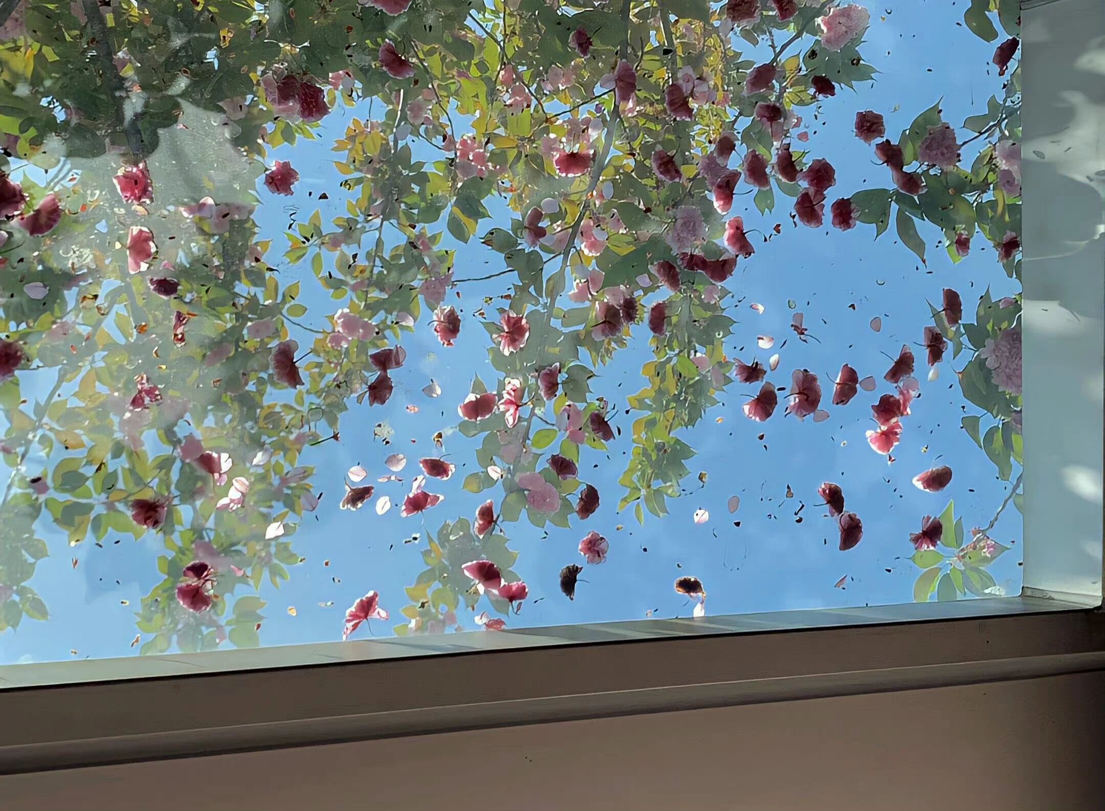 关于友谊的温柔文案高级,关于友谊的温柔文案多人