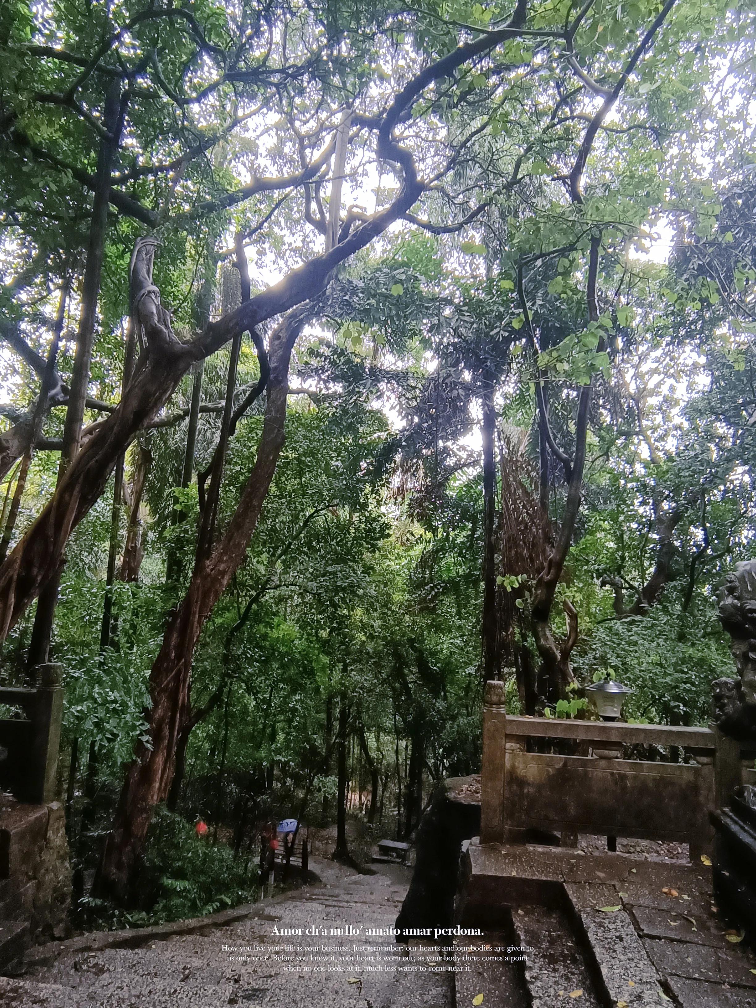 桂平西山一日游最佳攻略,桂平西山风景区图片